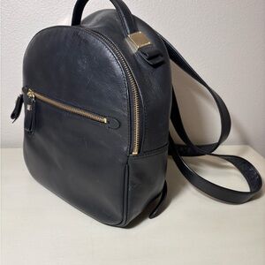 Cole Haan Black Leather Backpack/Handbag with Gold Accents
